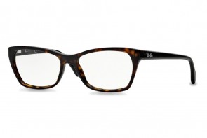 Ray-Ban RX5298 2012